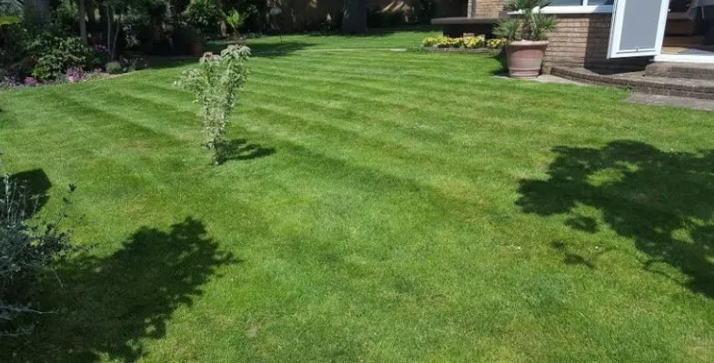 Top-rated lawn mowing service in Murfreesboro, TN - Efrain Esparza