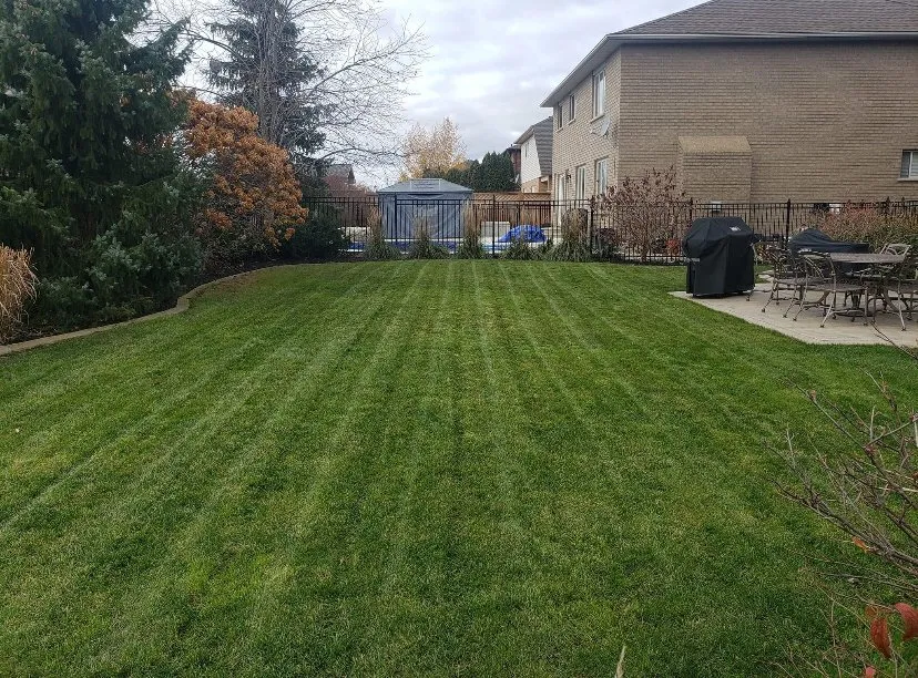 Top-rated outdoor landscaping for year-round maintenance across Murfreesboro, TN - Efrain Esparza