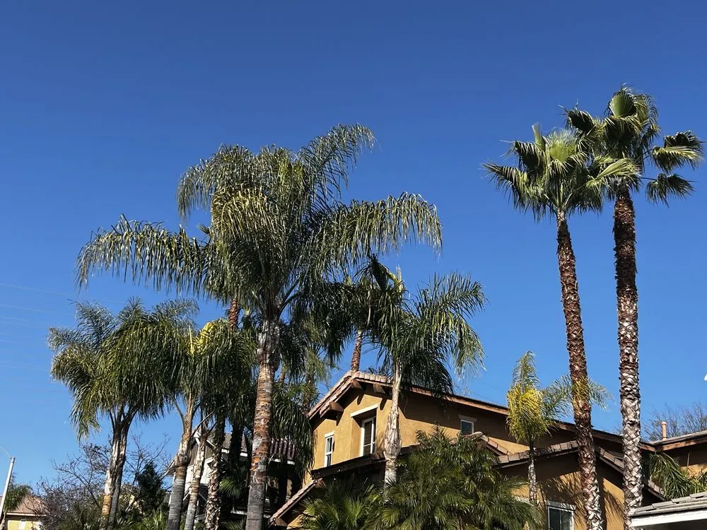 Expert outdoor landscaping in Beaumont, CA - Efrain Tree Services