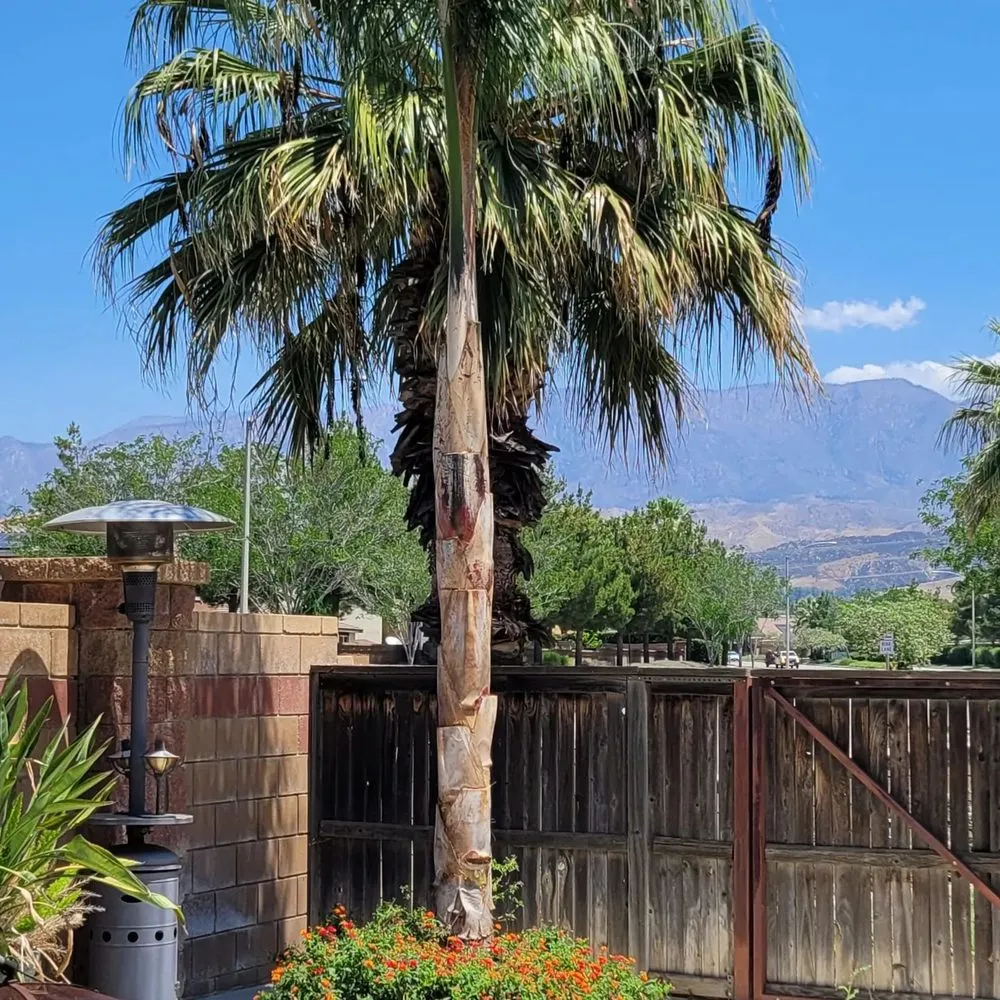 Local outdoor landscaping with custom design in Beaumont, CA by Efrain Tree Services