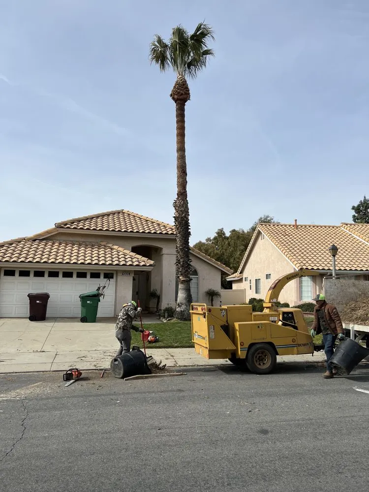 Affordable residential landscaping for outdoor upgrades across Beaumont, CA - Efrain Tree Services