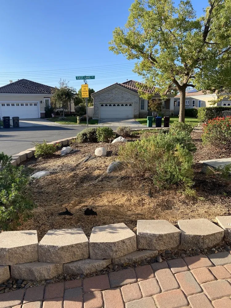 Trusted lawn care service in Beaumont, CA - Efrain Tree Services