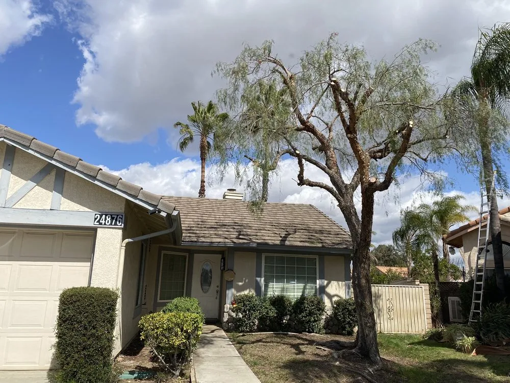 Affordable outdoor landscaping near you across Beaumont, CA - Efrain Tree Services