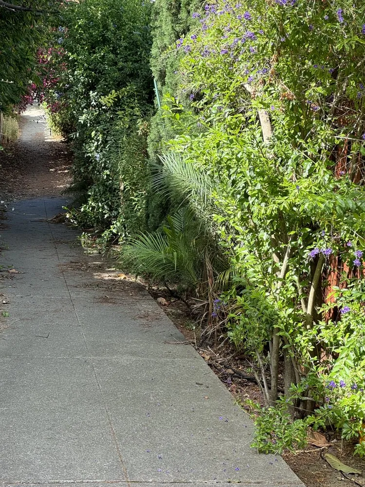 Top-rated landscape installation in Oakland, CA - Efrain’s Gardening Services