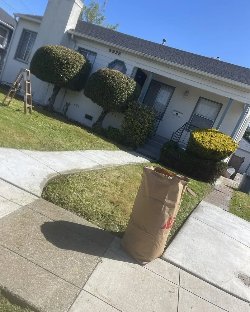 Reliable outdoor landscaping in Oakland, CA - Efrain’s Gardening Services