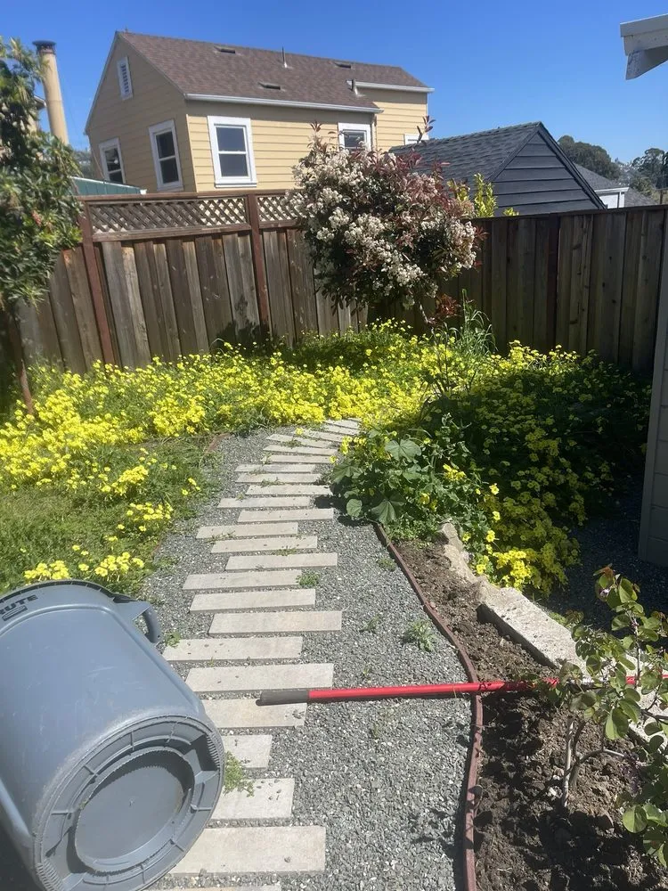 Expert outdoor landscaping in Oakland, CA - Efrain’s Gardening Services