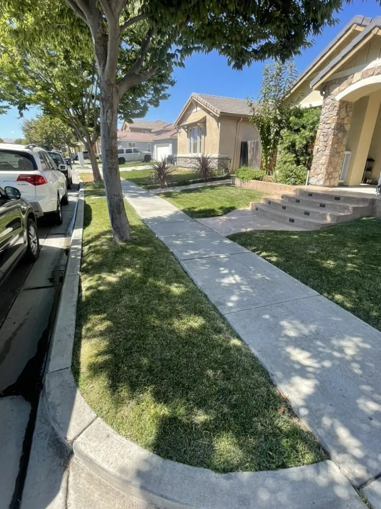 Local outdoor landscaping in Patterson, CA by Efrains Gardening Services