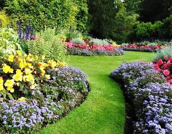 Reliable yard cleanup service in Patterson, CA - Efrains Gardening Services