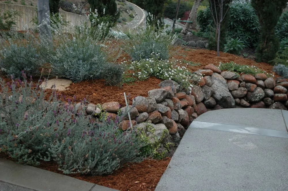 Local landscape installation for beautiful yards in San Rafael, CA by Efrain's Landscape Construction