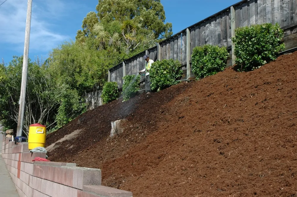 Affordable lawn mowing service in San Rafael, CA by Efrain's Landscape Construction