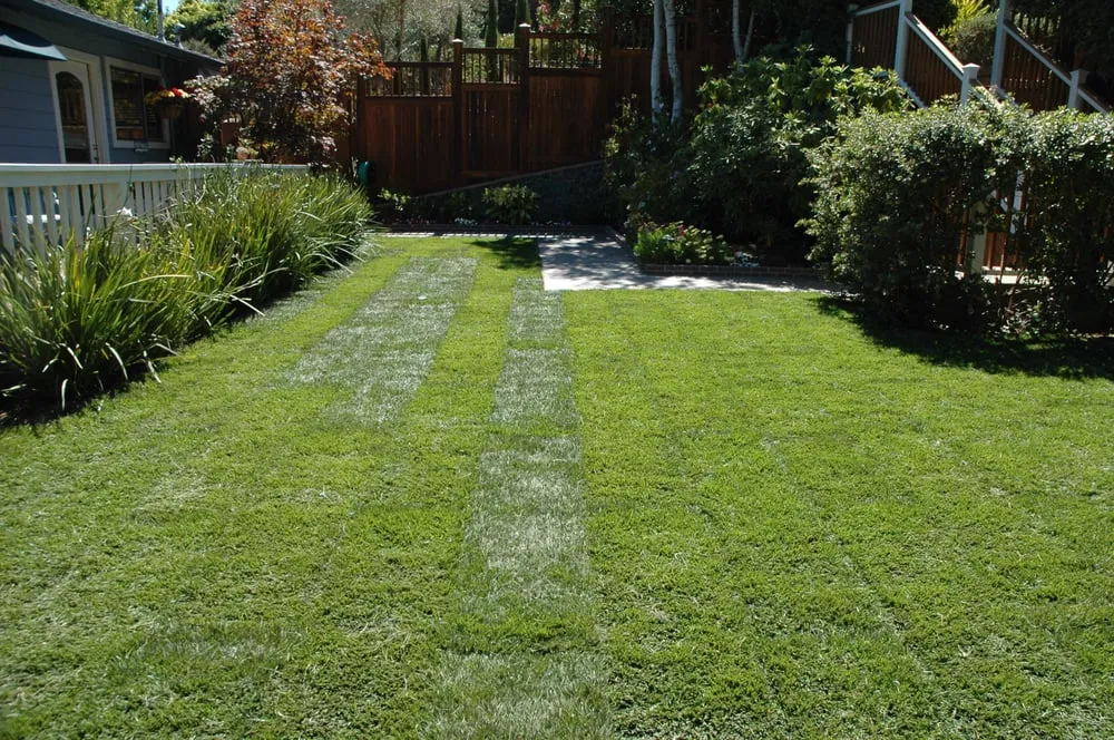 Custom outdoor landscaping in San Rafael, CA - Efrain's Landscape Construction