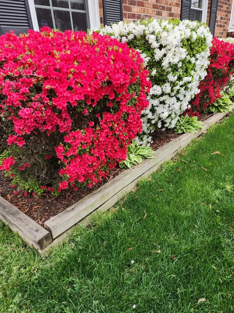 Trusted lawn mowing service in Richmond, VA - Efreen Lawn Care & Landscaping