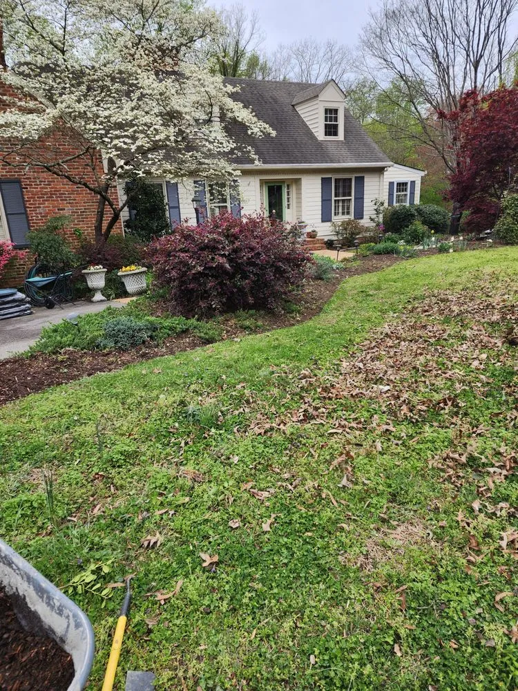 Local lawn care service for residential properties in Richmond, VA by Efreen Lawn Care & Landscaping