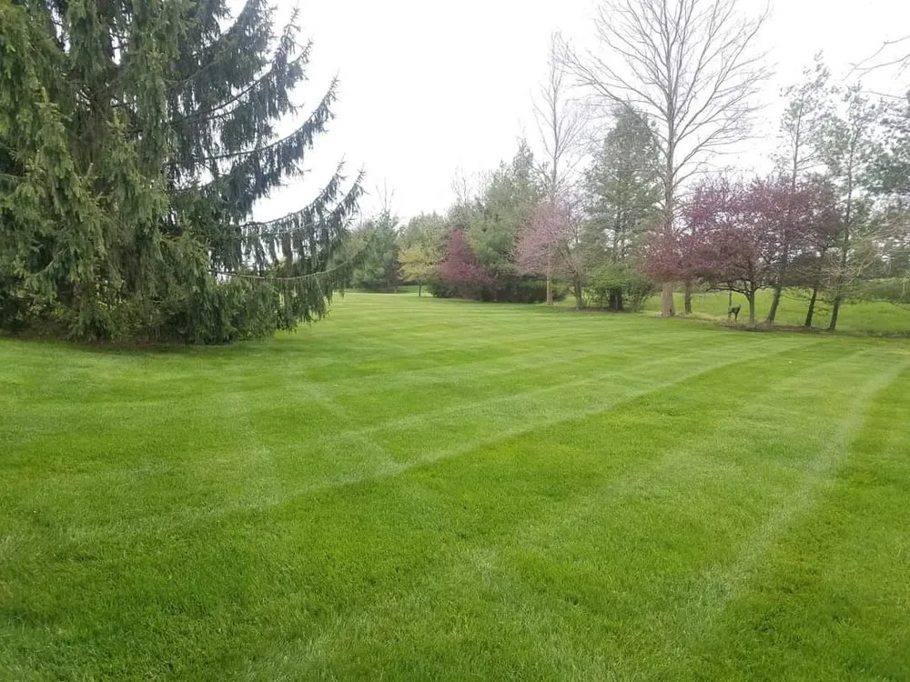 Custom lawn care service for residential properties across Richmond, VA - Efreen Lawn Care & Landscaping