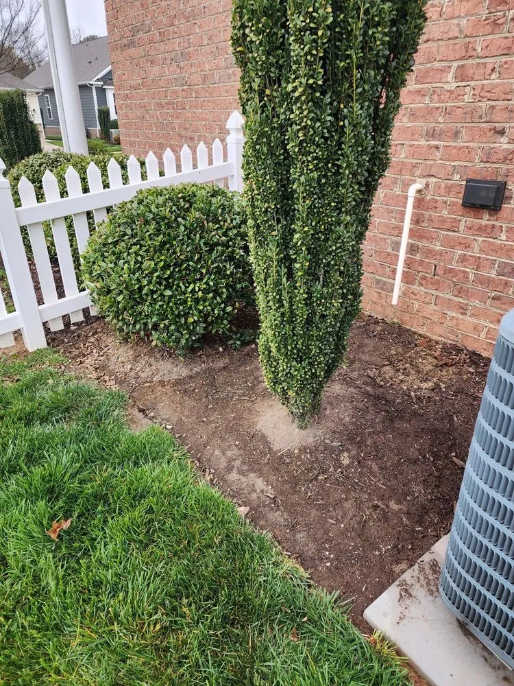 Reliable landscape installation in Richmond, VA by Efreen Lawn Care & Landscaping