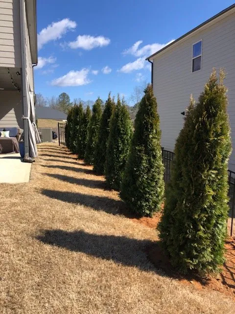 Top-rated garden landscaping experts serving Norcross, GA - Efren Landscaping