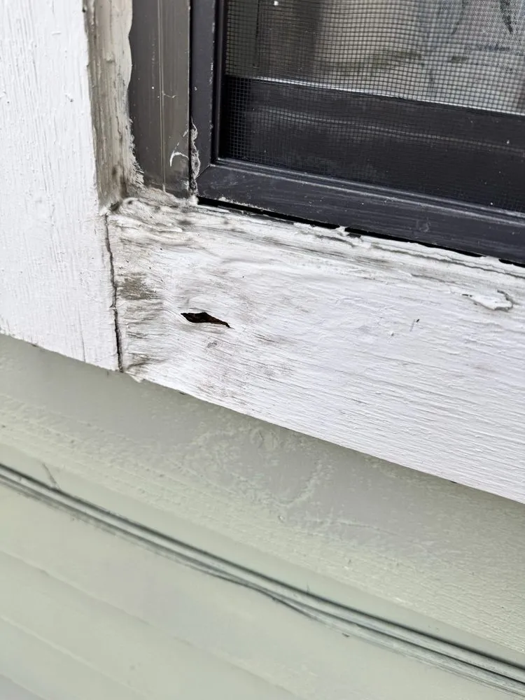 Reliable yard cleanup service experts serving Orlando, FL - EG Handyman Services