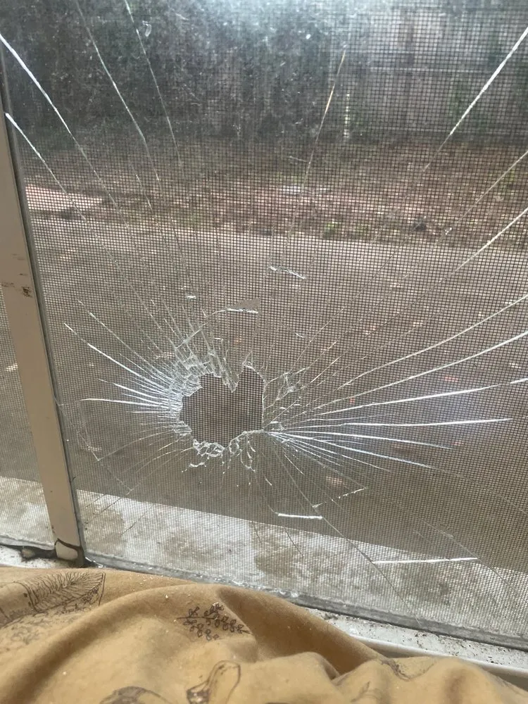 Expert lawn mowing service for residential properties across Orlando, FL - EG Handyman Services