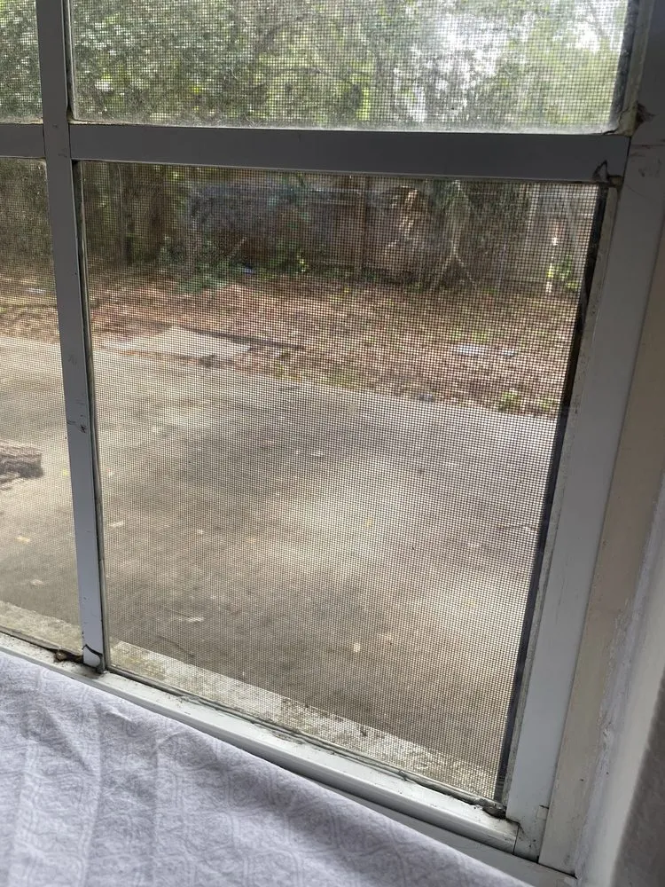 Reliable landscaping services in Orlando, FL - EG Handyman Services