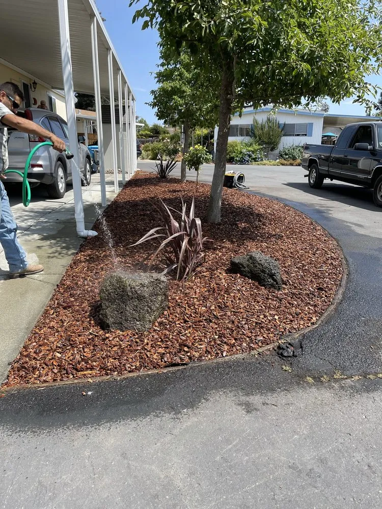 Expert yard maintenance in Santa Rosa, CA - Eg Landcare