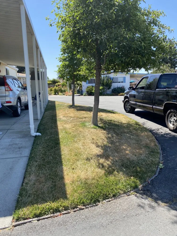 Professional lawn mowing service in Santa Rosa, CA by Eg Landcare