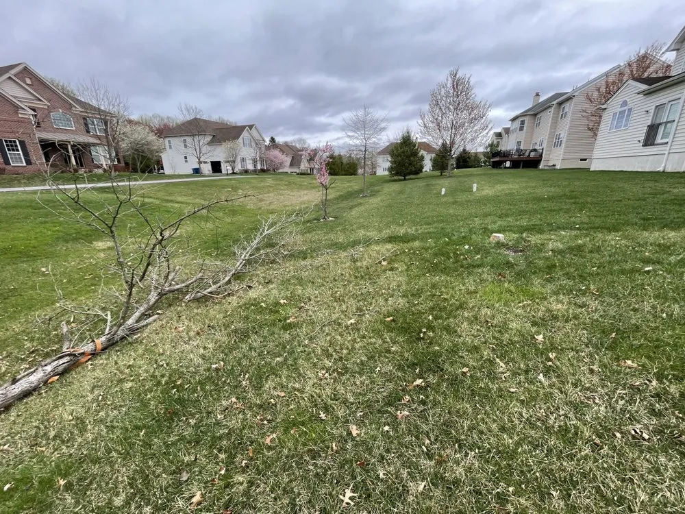 Affordable residential landscaping experts serving Coatesville, PA - EG Landscape