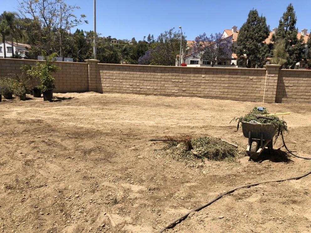 Expert lawn mowing service for beautiful yards in Ventura, CA by EG Landscaping And designs