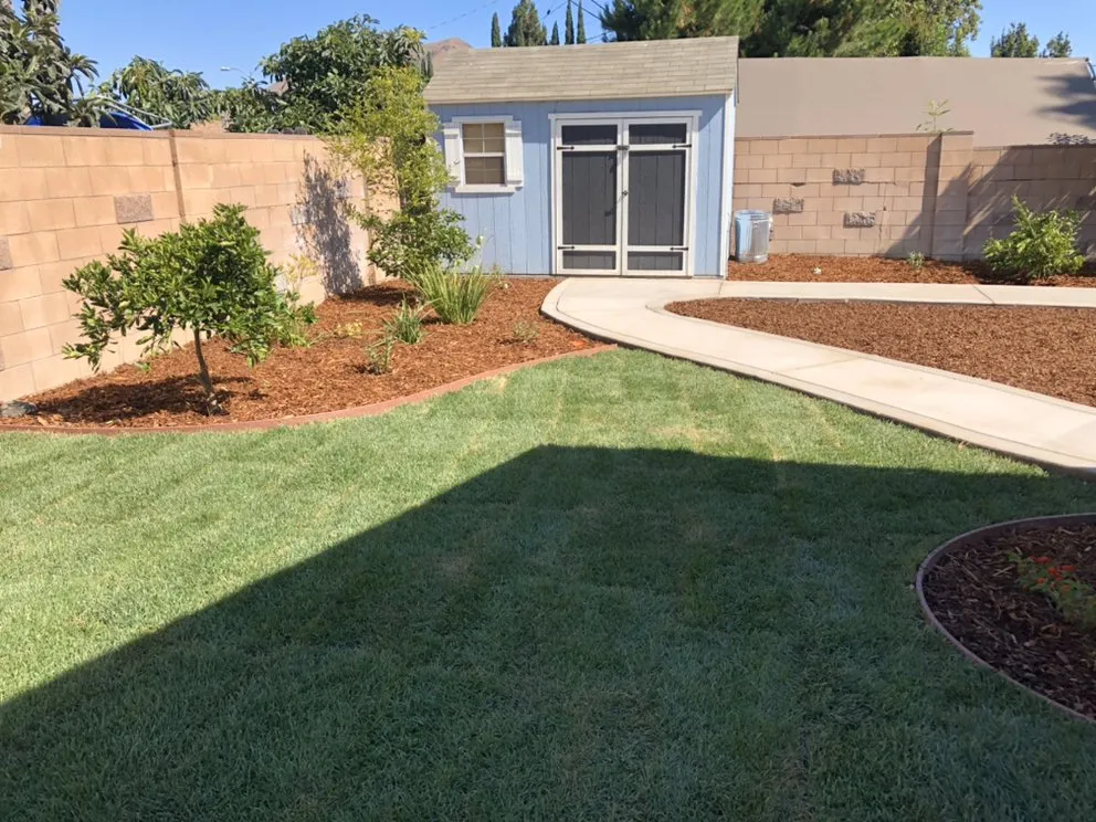 Professional landscape design for beautiful yards in Ventura, CA by EG Landscaping And designs