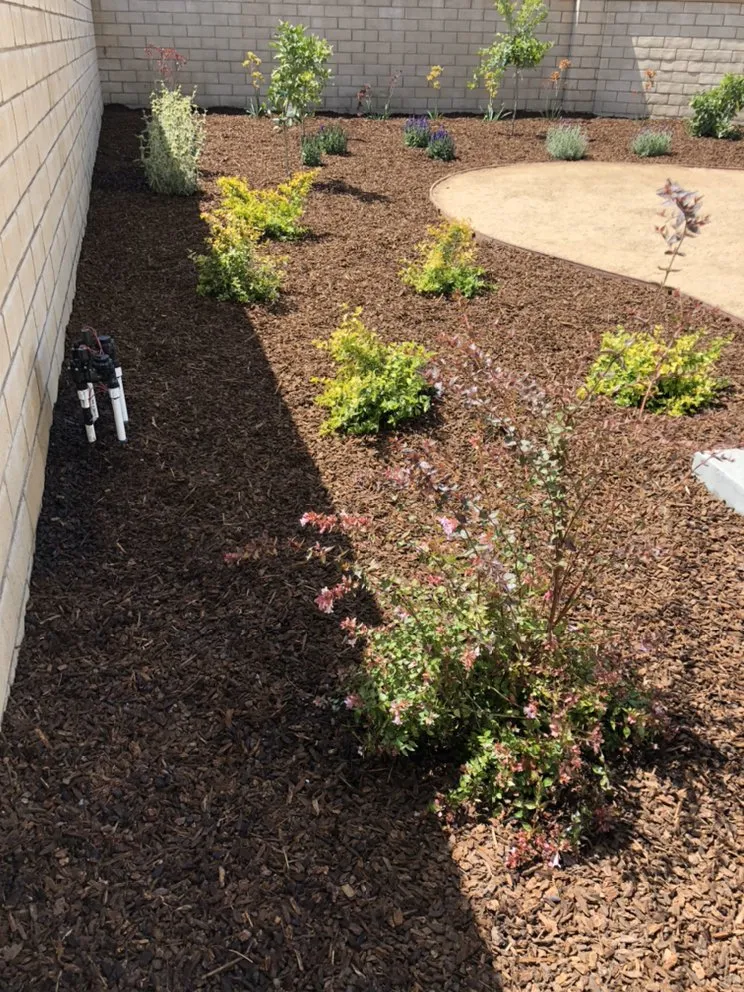 Affordable lawn care service in Ventura, CA - EG Landscaping And designs