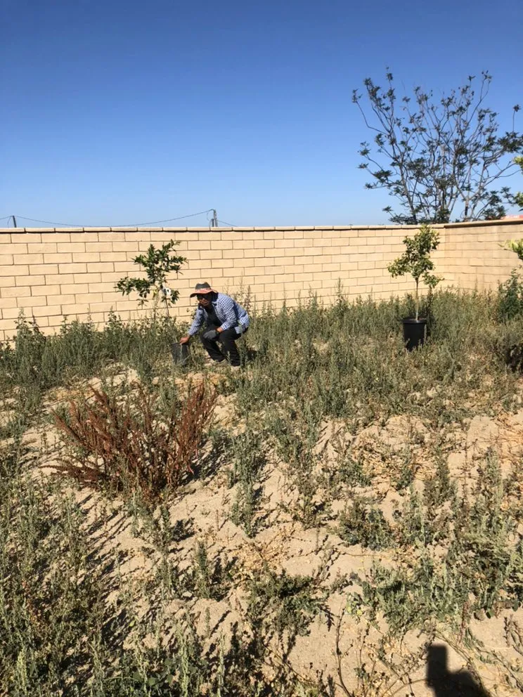 Custom yard maintenance for homes across Ventura, CA - EG Landscaping And designs