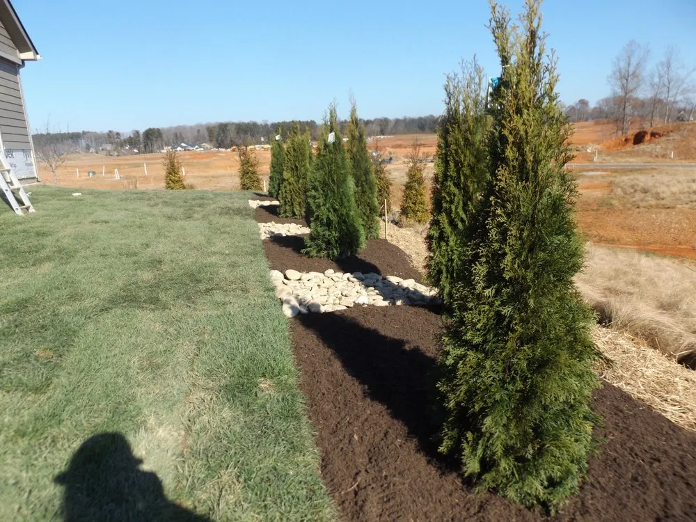 Reliable yard cleanup service experts serving Mount Holly, NC - E&G Landscaping