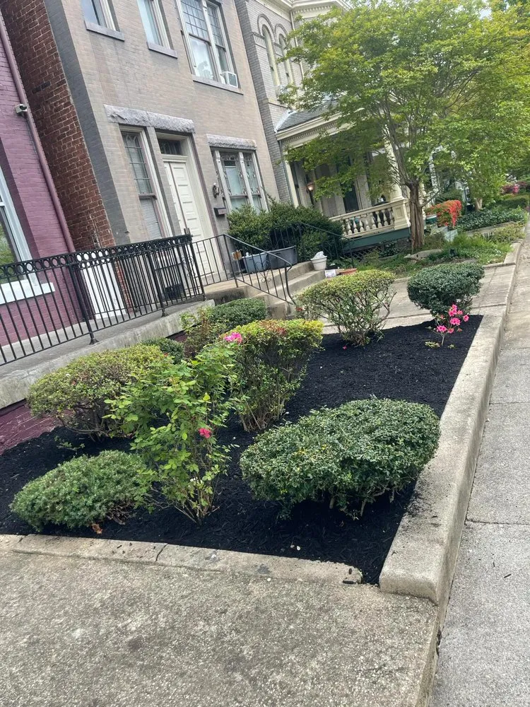 Trusted residential landscaping in Richmond, VA - E&G Landscaping Service