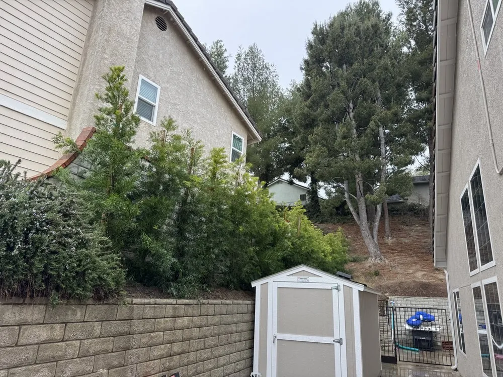 Local residential landscaping in Santa Clarita, CA - EG Lawn Service