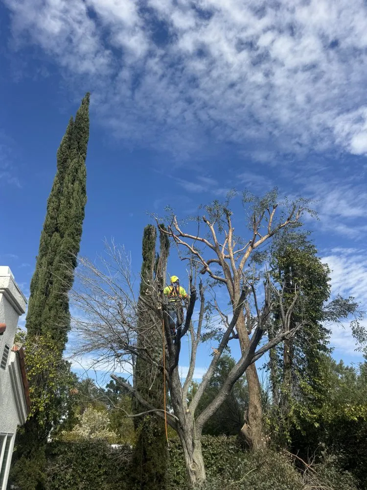 Custom landscape installation for homes in Santa Clarita, CA by EG Lawn Service