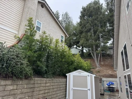 EG Lawn Service Logo