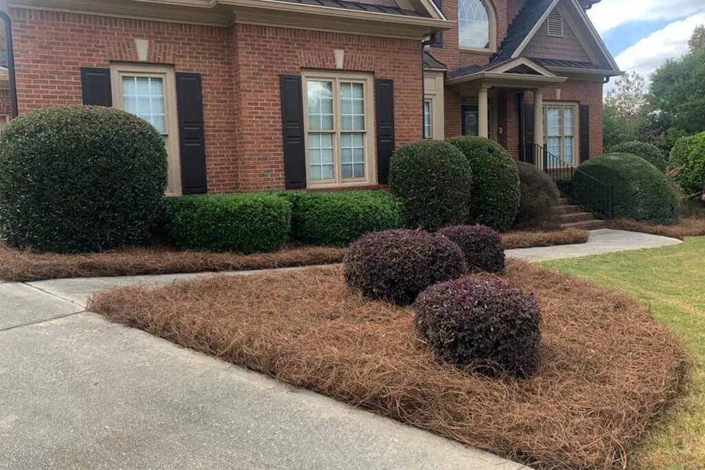Local garden landscaping experts serving Farmville, NC - E'G Services