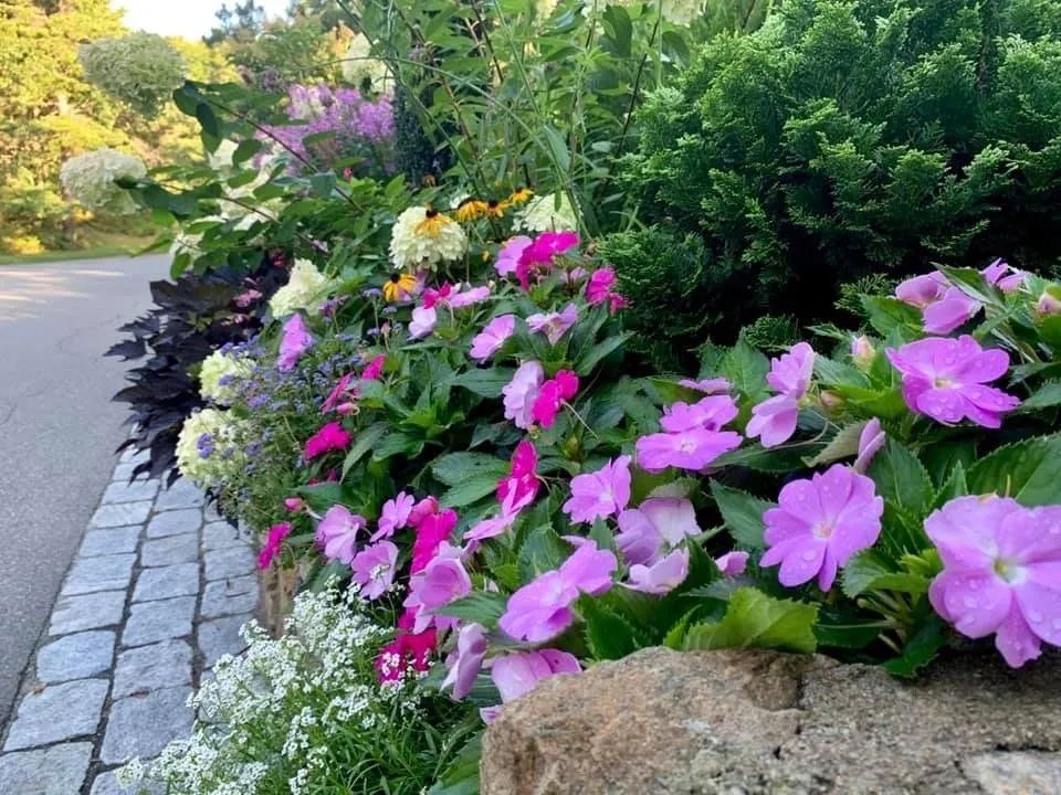 Professional lawn mowing service for year-round maintenance in Plymouth, MA by Egan Landscape Group