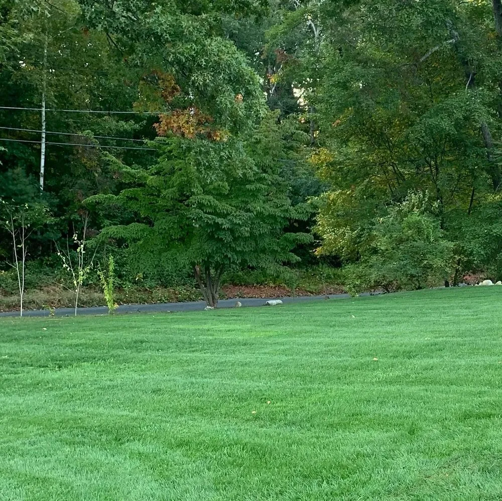 Affordable yard maintenance in Ware, MA by Egan Lawn Care
