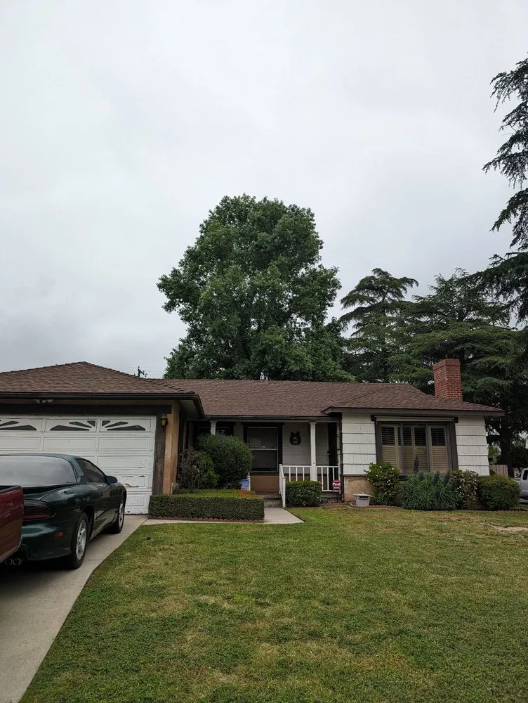 Custom yard cleanup service for homes in La Puente, CA by Egan Tree Care