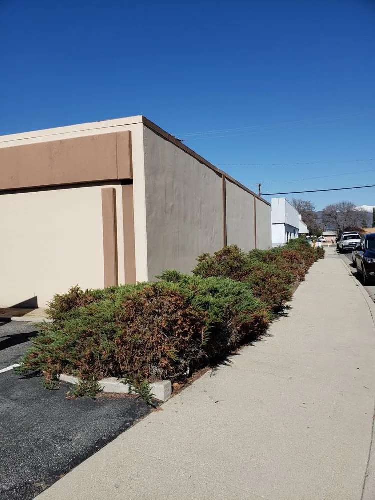 Expert lawn mowing service for outdoor upgrades across La Puente, CA - Egan Tree Care