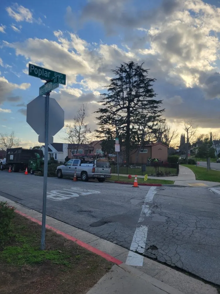 Custom residential landscaping for year-round maintenance across La Puente, CA - Egan Tree Care