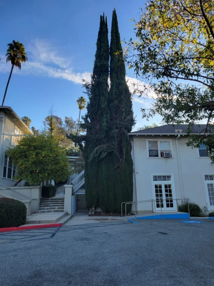 Local landscape installation in La Puente, CA - Egan Tree Care