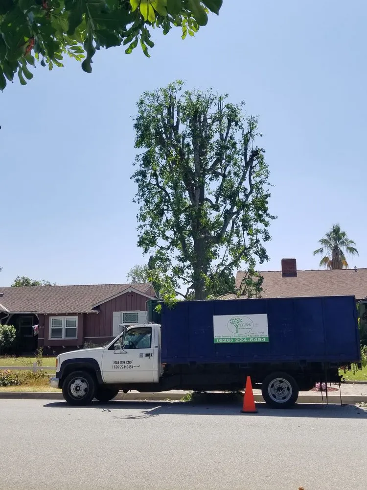 Custom residential landscaping in La Puente, CA by Egan Tree Care