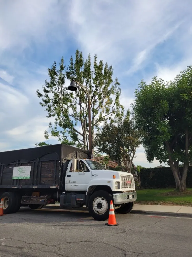 Top-rated landscaping services in La Puente, CA - Egan Tree Care