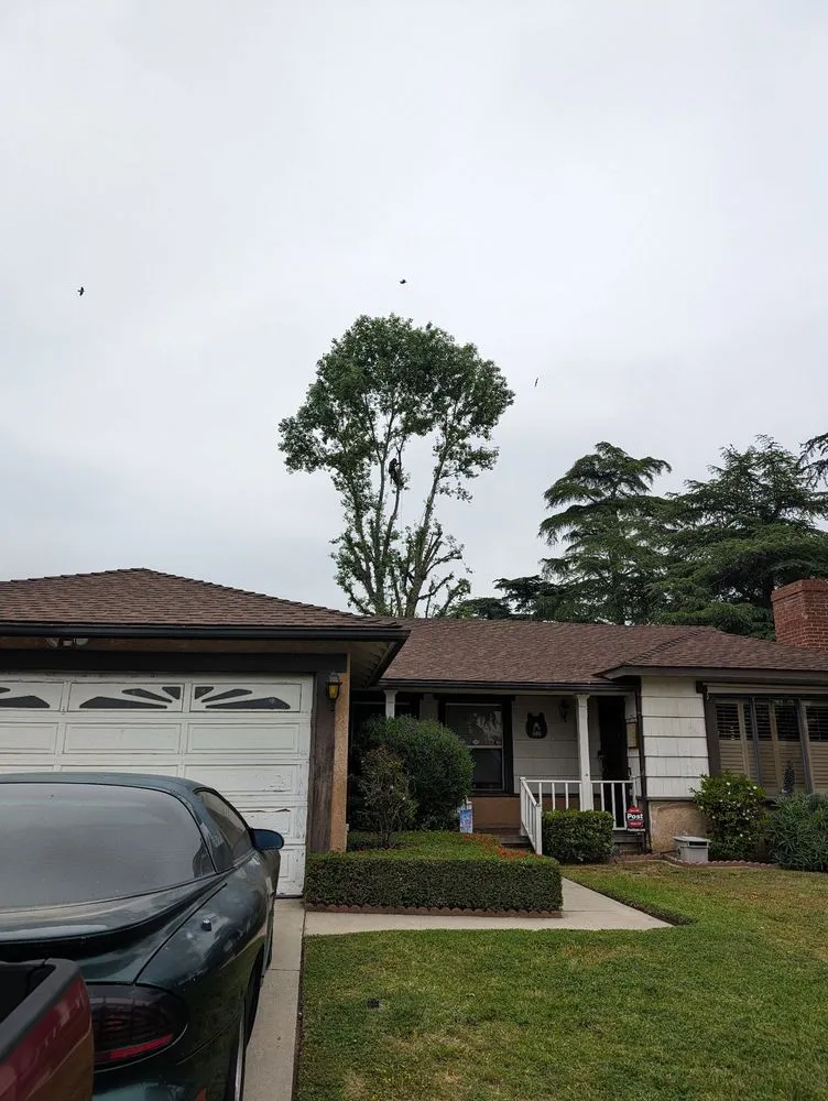 Local lawn mowing service in La Puente, CA - Egan Tree Care