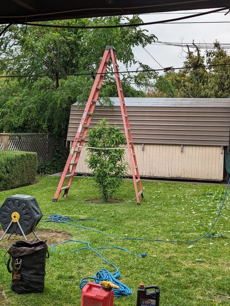 Expert landscape design experts serving La Puente, CA - Egan Tree Care