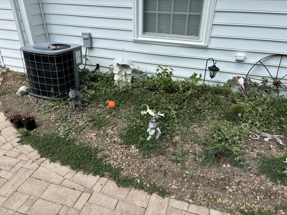 Professional yard maintenance for residential properties in Bon Air, VA by Eggleston & Son LawnCare