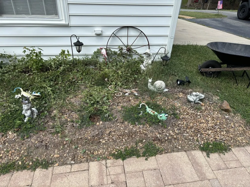 Reliable yard maintenance in Bon Air, VA by Eggleston & Son LawnCare