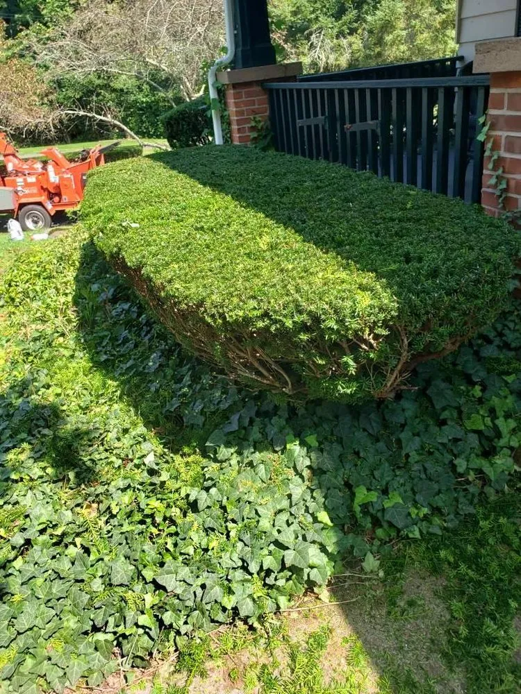 Expert landscape installation in East Haven, CT - Eglas Landscaping