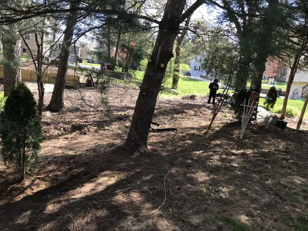 Affordable lawn care service experts serving North Grafton, MA - EGMG Landscaping